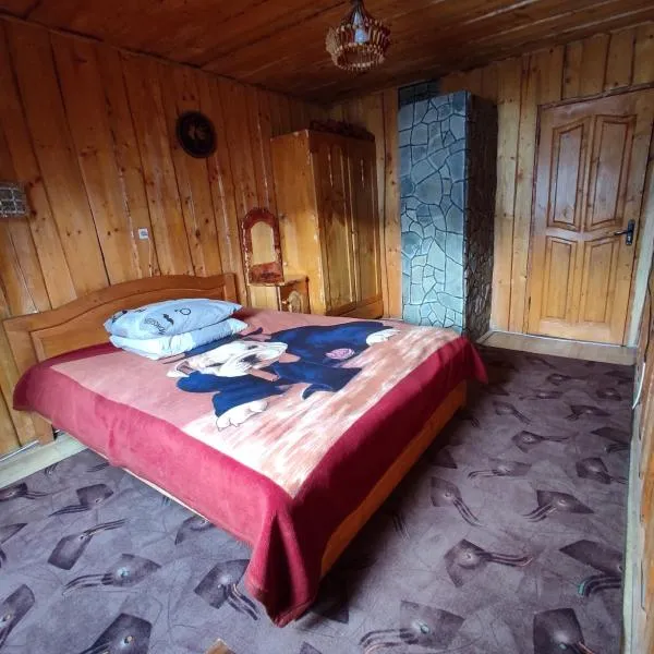 Хата у Карпатах, hotel in Pilipets