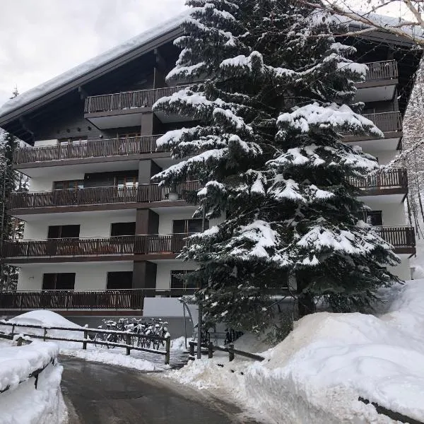 Haus Vitalis, hotel in Zermatt