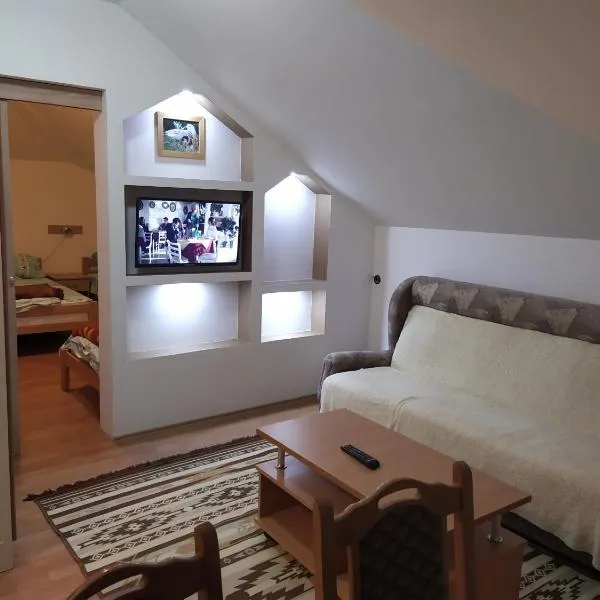 노바 바로스에 위치한 호텔 Guesthouse Borovi