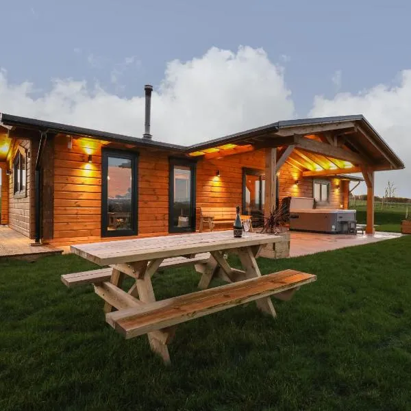 Bacheiddon Log Cabin, hotel in Machynlleth