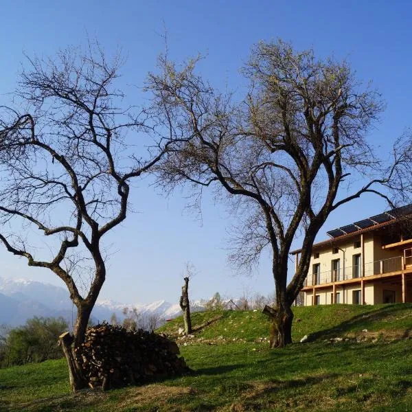 Apartments Lom, hotel in Most na Soči