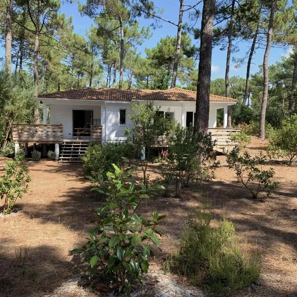 Chalet Mavalear naturiste la Jenny, hotel in Le Porge