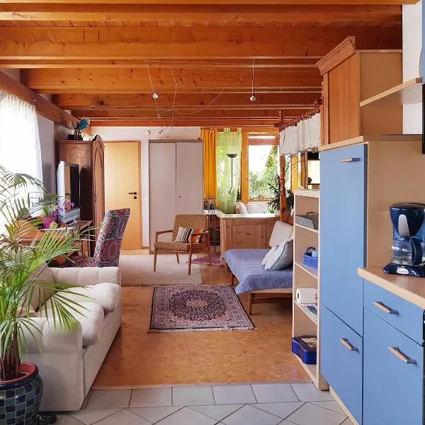 Zentrale Ferienwohnung auf dem schönen Hunsrück, hotel en Halsenbach