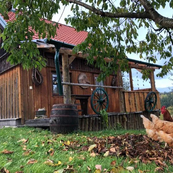 Ferienhaus FRIEDLHOF、Langschlagのホテル