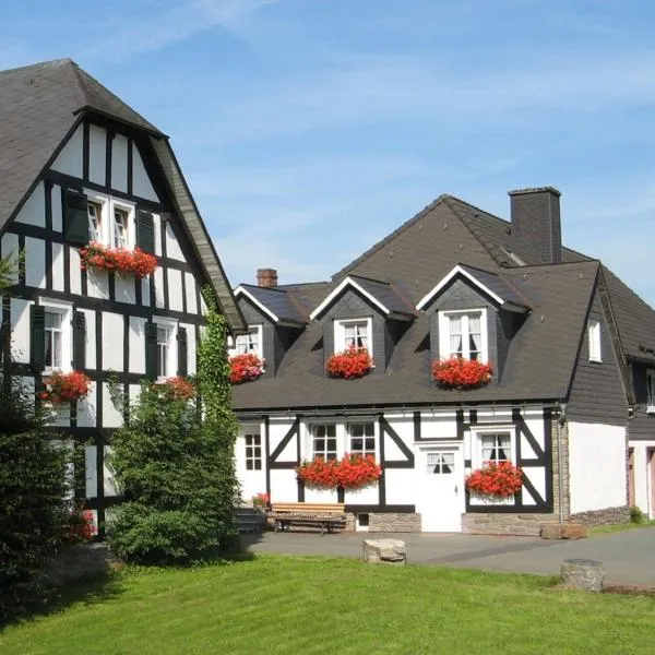 Gästehaus Schwarzenauer Mühle, hotel v destinaci Bad Berleburg