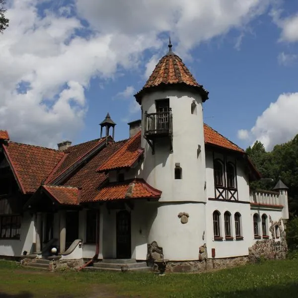 Pensjonat Wiking, hotel in Pacółtowo