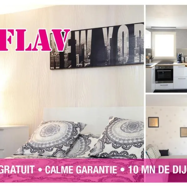 Le Flav - Charmant appartement à 10 mn de Dijon, hotel en Saint-Seine-lʼAbbaye