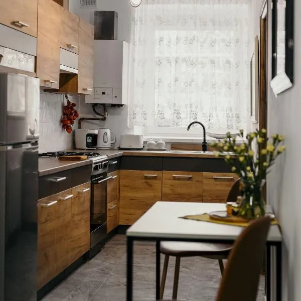 Apartament Miodownik、ミエンジレシエのホテル