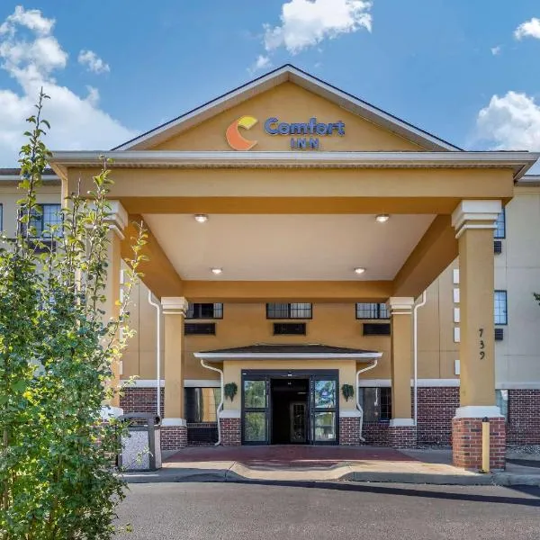 Comfort Inn Downtown - University Area, hotel v destinaci Kalamazoo