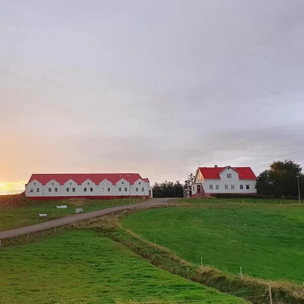 Helluland Guesthouse, hotel in Reynistaður