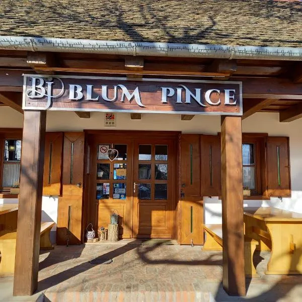Blum Pince - Borozó Vendégház、Magyarbólyのホテル