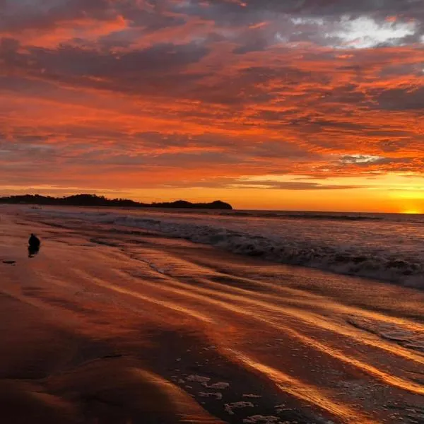 Seaside Garden Ecolodge Mompiche, hotel v destinaci Mompiche