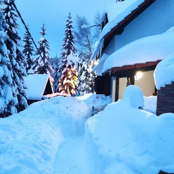 Uki & Sofi mountain house, hótel í Kopaonik