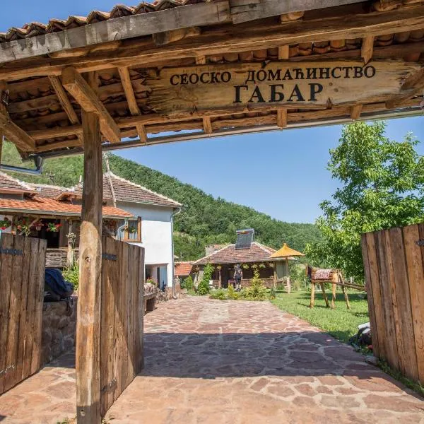 Seosko domaćinstvo „GABAR”, hotel v destinaci Ćuštica