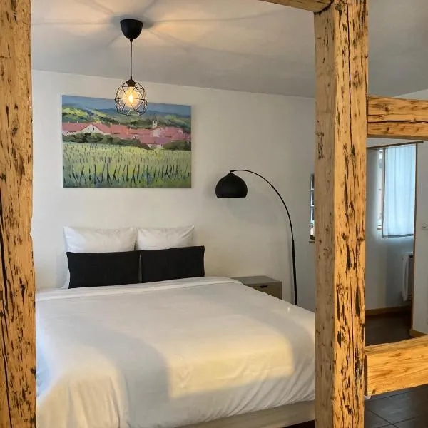 Parenthèse Alsacienne, hotel in Schiltigheim