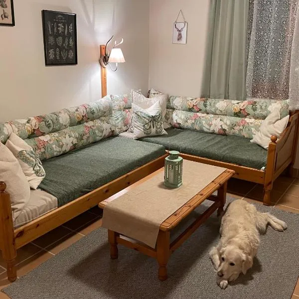 Hundefreundliche Bergwohnung neben der Skipiste - Mittelstation Skigebiet Gerlitzen, hotel in Kanzelhöhe