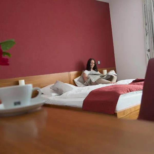 Hotel Greive, hotel v destinaci Haren
