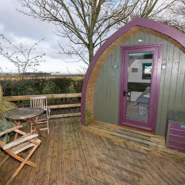 Seaways glamping, English Oak, hotel in Huggate