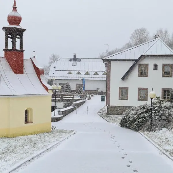 hotel ZLATÝ POTOK, hotel in Nicov
