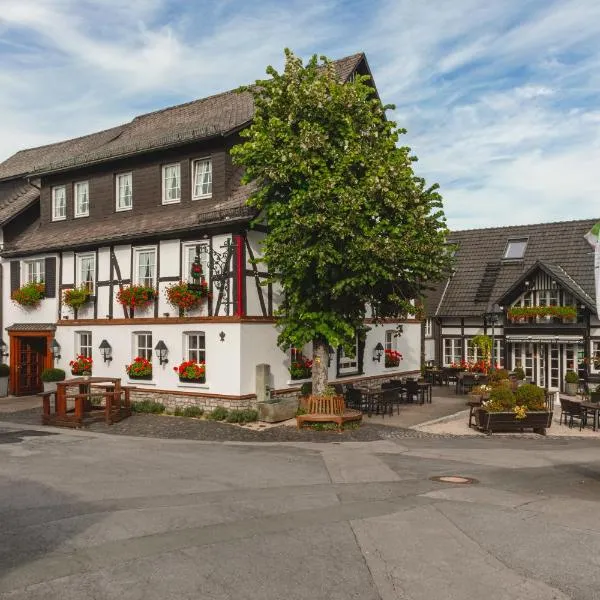 Landhotel Gasthof Willecke, hotel v destinaci Sundern