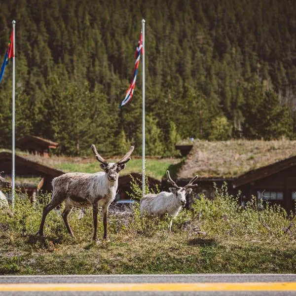 Saltdal Turistsenter, hotell i Rokland