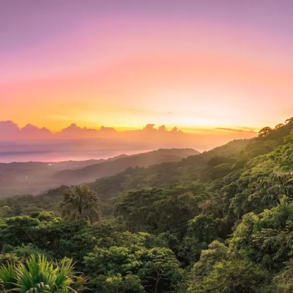 Taorayiná nature lodge- immersed in the forest, hotel in El Zaino