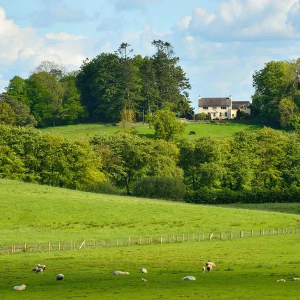 Dromard House, hotel in Maguires Bridge