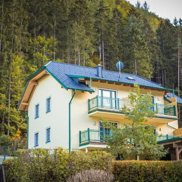 Appartement Hess Hinterstoder, hotel Hinterstoderben