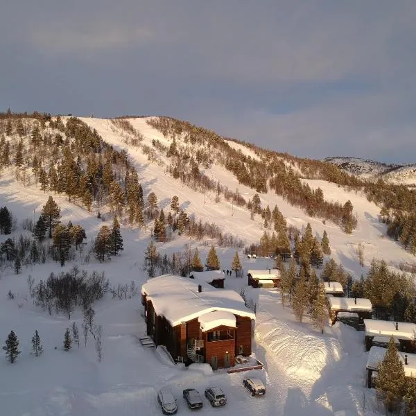 Bjørnfjell Mountain Lodge, hotel in Alta