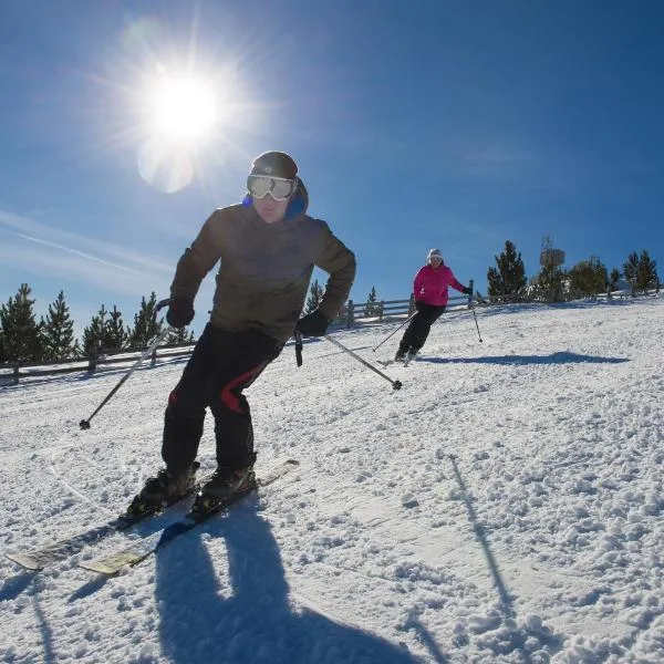 Le Relais de la Forge、Selonnetのホテル