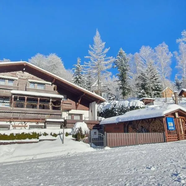 Pension Vinkl, hotel em Harrachov