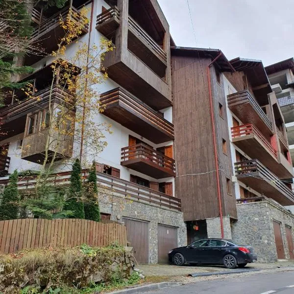 Mikerynos 1, hotel in Sinaia
