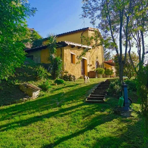 Casale Druida, hotel in Poggio Mirteto