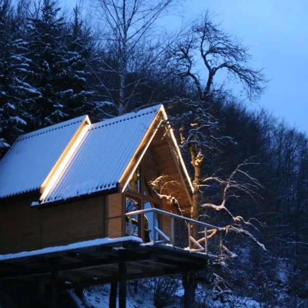 Tree house - Tara Place, hotel a Mojkovac