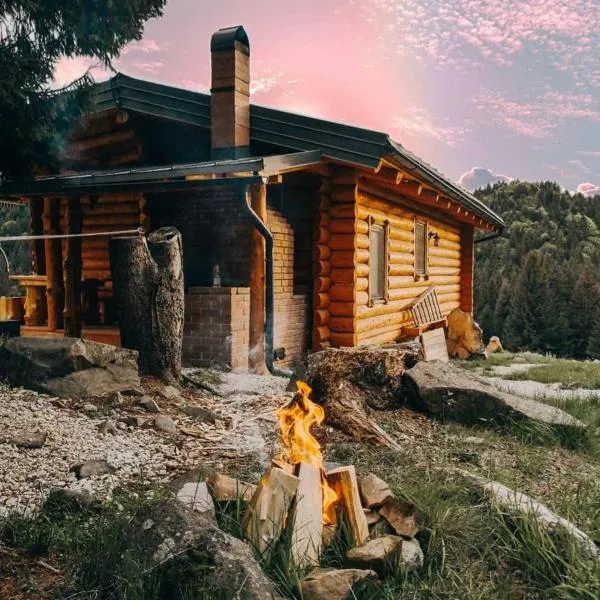 Cabana Paulownia, hotel v destinaci Budeşti