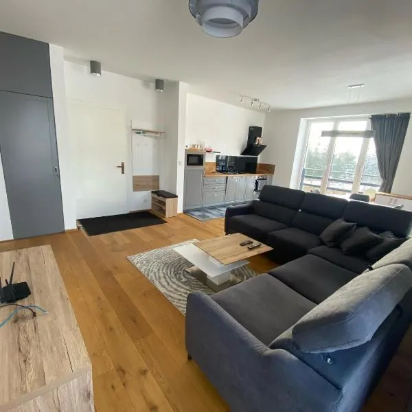 3 Sosny Apartments - Suite 1, hotel in Hôrka