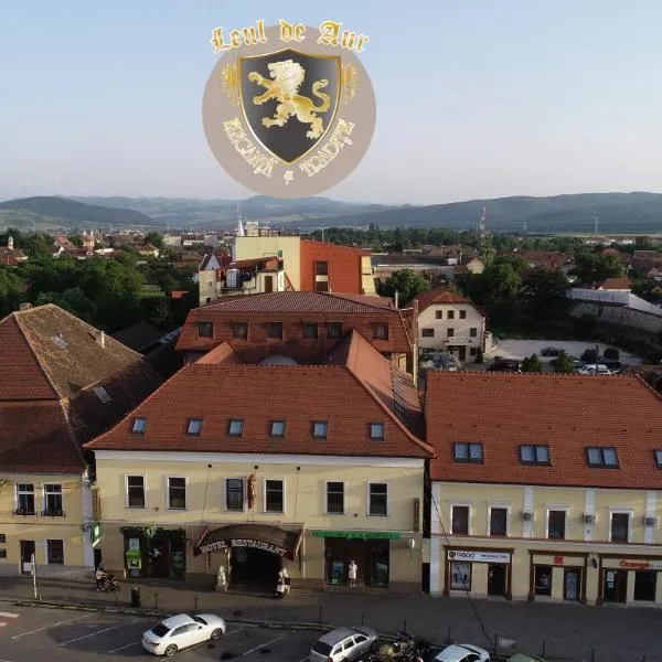 Hotel Leul de Aur, hotel en Săsciori