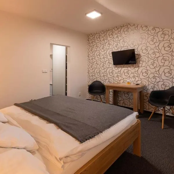 Hotel Lion, hotel v destinaci Modřice