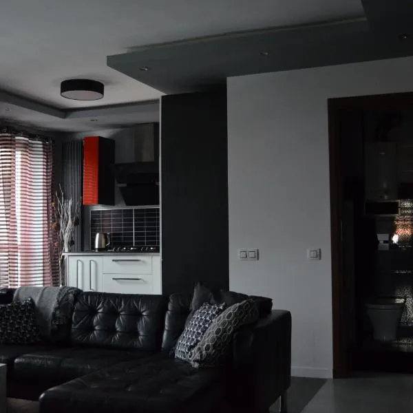 Apartment City Center - Free Parking - easy check-in, hotel in Chorzów