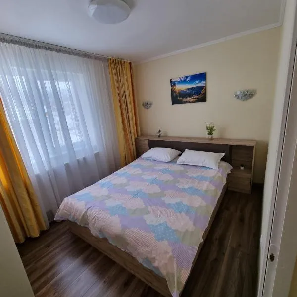 11 RESIDENCE APARTMENT, ξενοδοχείο σε Cavnic