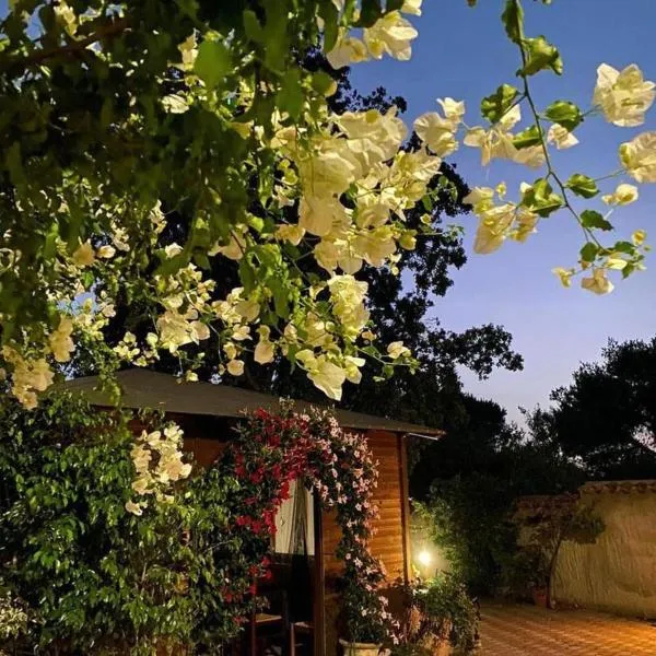 B&B Il Girasole, hotel v destinácii SantʼAnna Arresi
