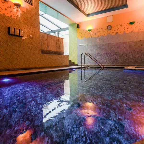 Pensjonat Fitness & Spa Gregor, отель в городе Нова-Суль