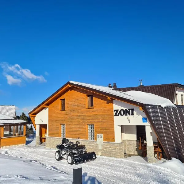 Apartments Zoni, hotel in Vlasic