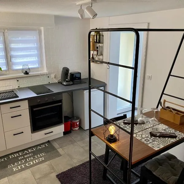 Le Pi'style(chambre,cuisine,salle d’eau,terrasse)، فندق في Ingwiller