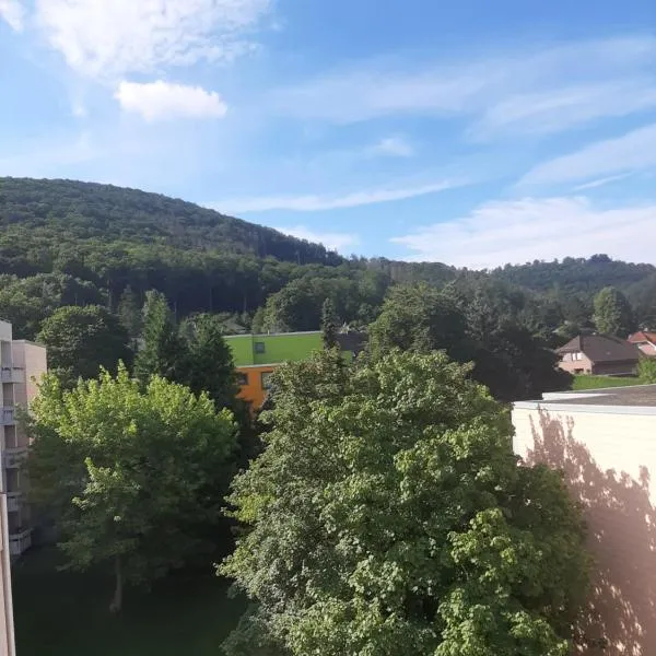 Weitblick, hotel v destinaci Bad Harzburg