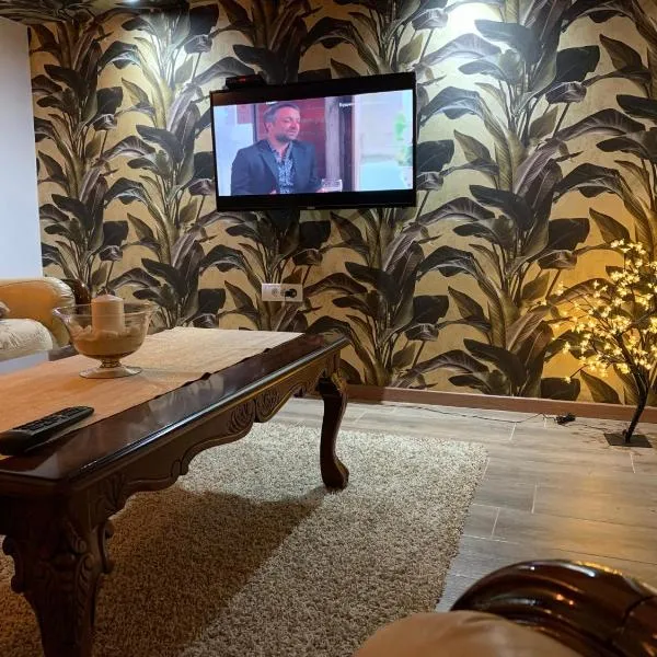 Apartman Stojanovic, hotel v destinaci Sremska Kamenica