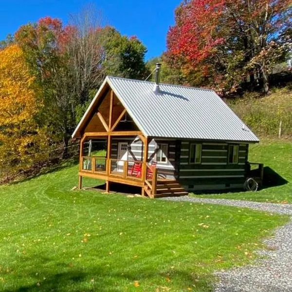Cozy Cabin Near Grayson Highlands State Park, hotel in Marion
