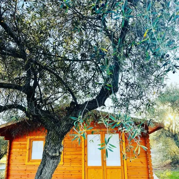 El Bosque de Ribera, hotel em Santa Olalla de Toledo