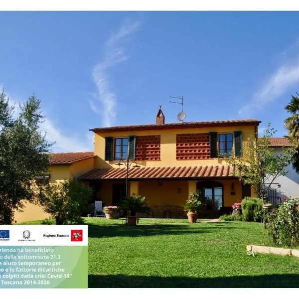 Agriturismo Tori 2, hotel v destinaci Montecarlo