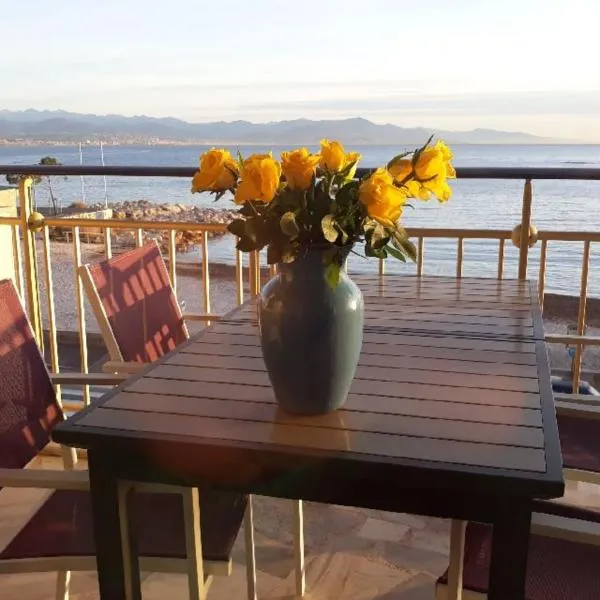 Seafront one bedroom apartment with a terrasse swimming pool and a parking, hotel v destinaci Antibes
